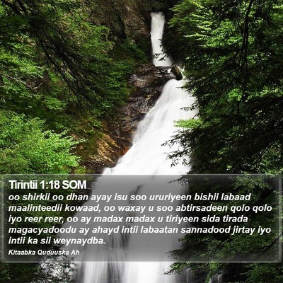 Tirintii 1:18 SOM Bible Verse Image