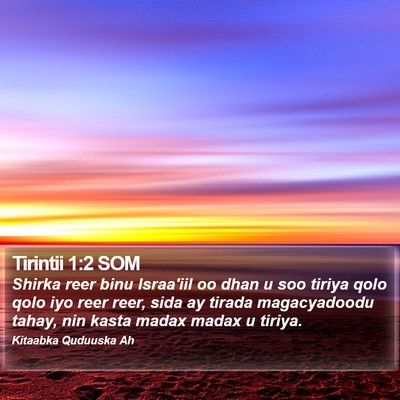 Tirintii 1:2 SOM Bible Verse Image