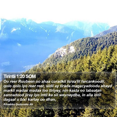 Tirintii 1:20 SOM Bible Verse Image