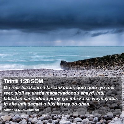 Tirintii 1:28 SOM Bible Verse Image
