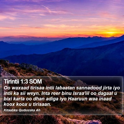Tirintii 1:3 SOM Bible Verse Image