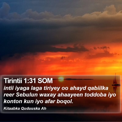 Tirintii 1:31 SOM Bible Verse Image