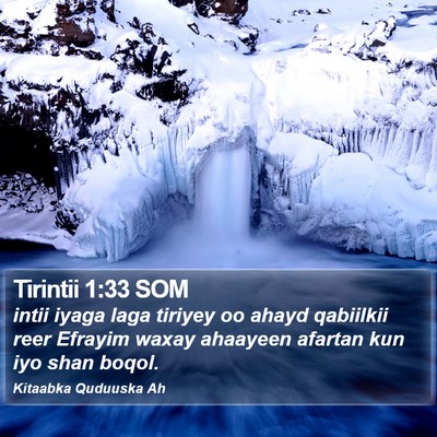 Tirintii 1:33 SOM Bible Verse Image
