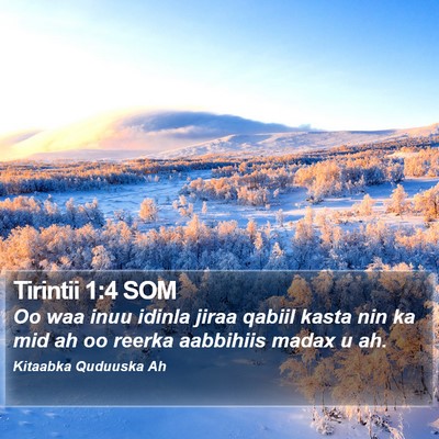 Tirintii 1:4 SOM Bible Verse Image