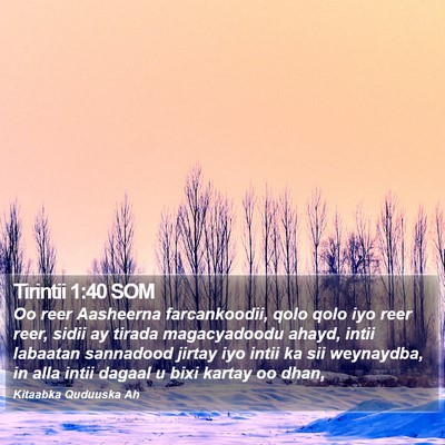 Tirintii 1:40 SOM Bible Verse Image