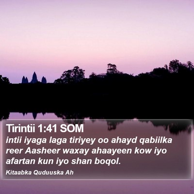 Tirintii 1:41 SOM Bible Verse Image