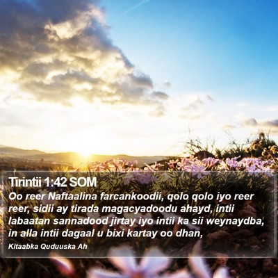 Tirintii 1:42 SOM Bible Verse Image