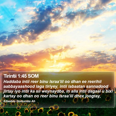 Tirintii 1:45 SOM Bible Verse Image