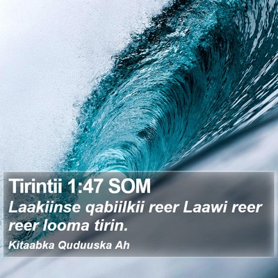 Tirintii 1:47 SOM Bible Verse Image