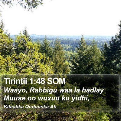 Tirintii 1:48 SOM Bible Verse Image