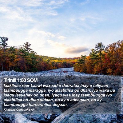 Tirintii 1:50 SOM Bible Verse Image
