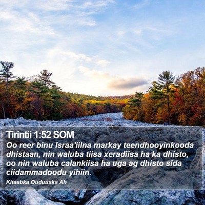 Tirintii 1:52 SOM Bible Verse Image