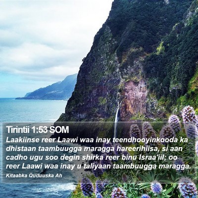 Tirintii 1:53 SOM Bible Verse Image
