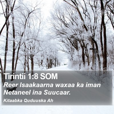 Tirintii 1:8 SOM Bible Verse Image