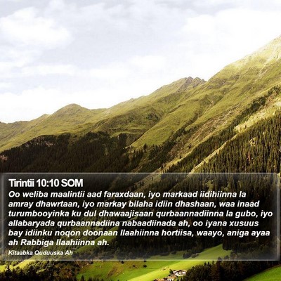 Tirintii 10:10 SOM Bible Verse Image