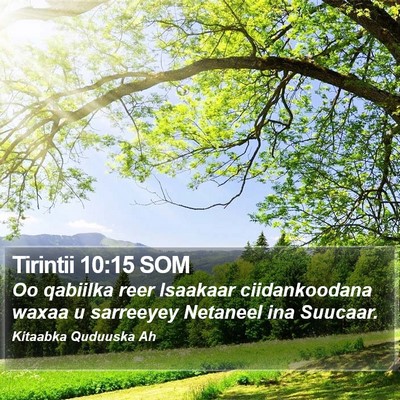 Tirintii 10:15 SOM Bible Verse Image