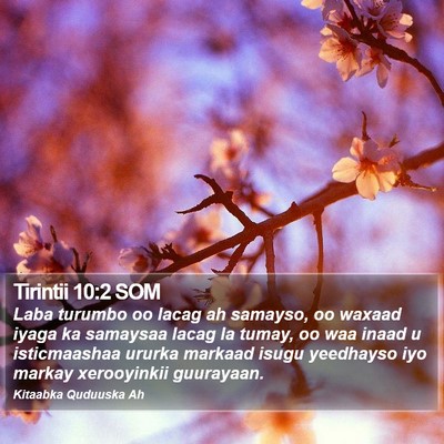 Tirintii 10:2 SOM Bible Verse Image