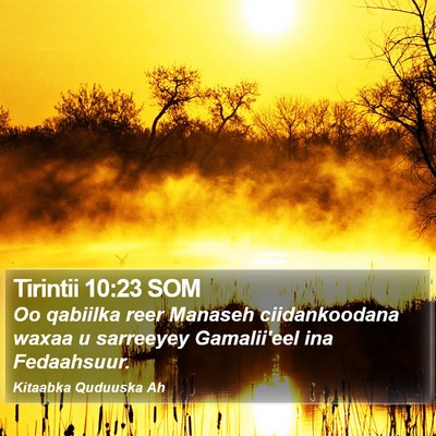 Tirintii 10:23 SOM Bible Verse Image