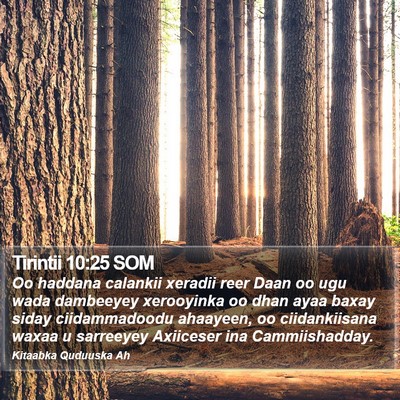 Tirintii 10:25 SOM Bible Verse Image