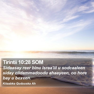 Tirintii 10:28 SOM Bible Verse Image