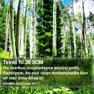 Tirintii 10:36 SOM Bible Verse Image