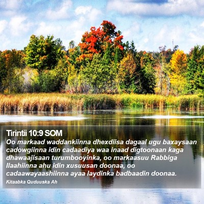 Tirintii 10:9 SOM Bible Verse Image