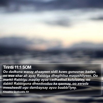 Tirintii 11:1 SOM Bible Verse Image
