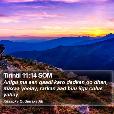 Tirintii 11:14 SOM Bible Verse Image