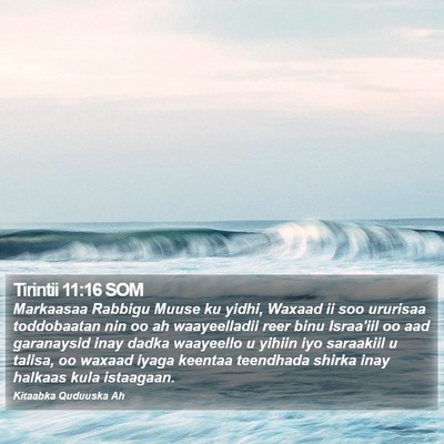 Tirintii 11:16 SOM Bible Verse Image