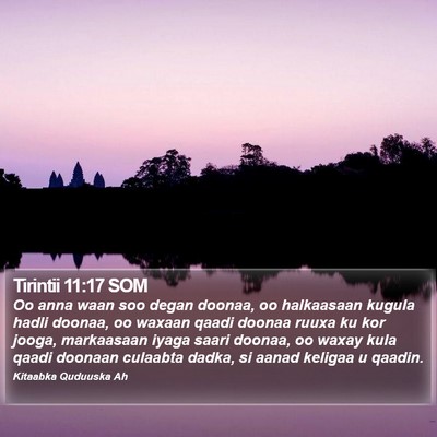 Tirintii 11:17 SOM Bible Verse Image