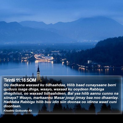 Tirintii 11:18 SOM Bible Verse Image
