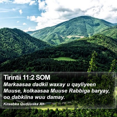 Tirintii 11:2 SOM Bible Verse Image