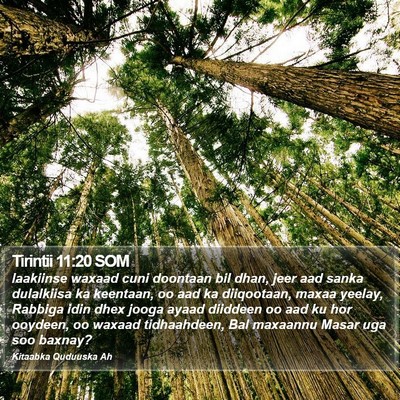 Tirintii 11:20 SOM Bible Verse Image
