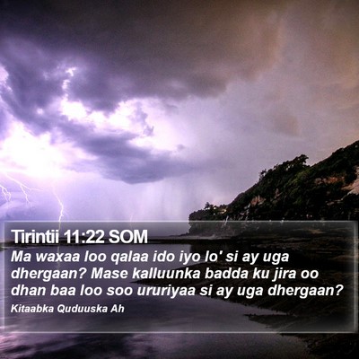 Tirintii 11:22 SOM Bible Verse Image