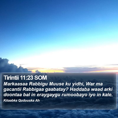 Tirintii 11:23 SOM Bible Verse Image