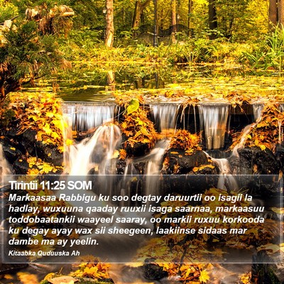 Tirintii 11:25 SOM Bible Verse Image