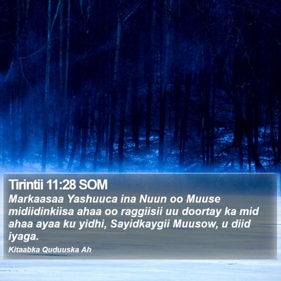 Tirintii 11:28 SOM Bible Verse Image