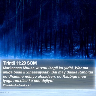 Tirintii 11:29 SOM Bible Verse Image