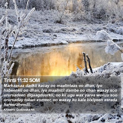 Tirintii 11:32 SOM Bible Verse Image