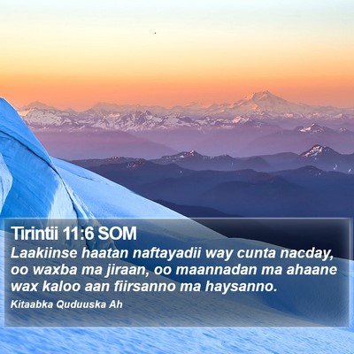 Tirintii 11:6 SOM Bible Verse Image
