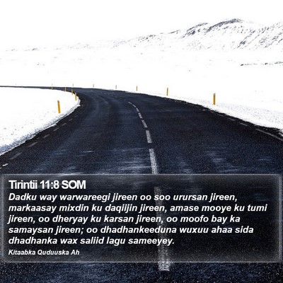 Tirintii 11:8 SOM Bible Verse Image