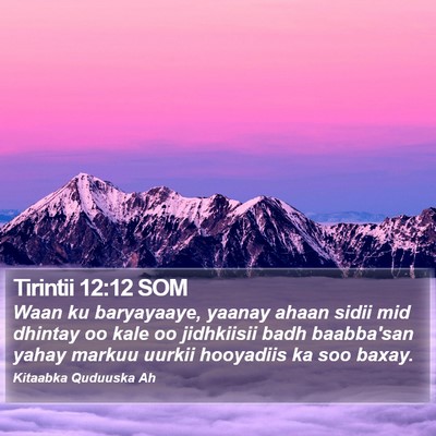 Tirintii 12:12 SOM Bible Verse Image