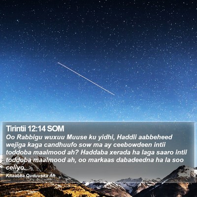 Tirintii 12:14 SOM Bible Verse Image