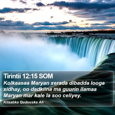Tirintii 12:15 SOM Bible Verse Image