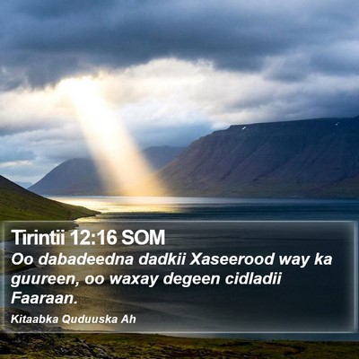 Tirintii 12:16 SOM Bible Verse Image