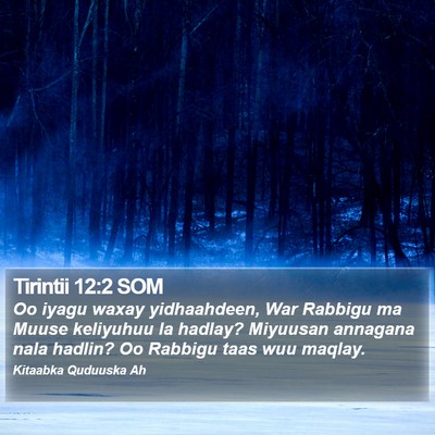 Tirintii 12:2 SOM Bible Verse Image
