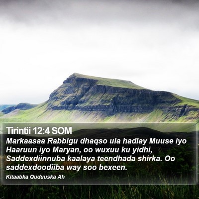 Tirintii 12:4 SOM Bible Verse Image