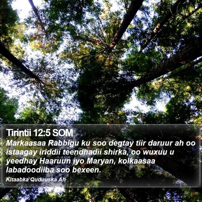 Tirintii 12:5 SOM Bible Verse Image
