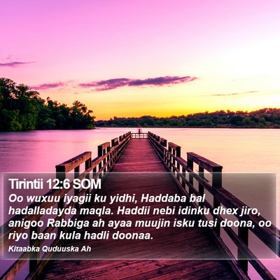 Tirintii 12:6 SOM Bible Verse Image
