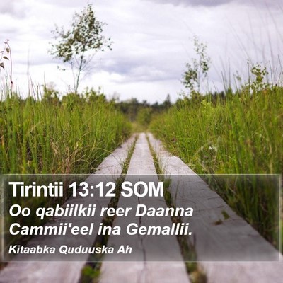 Tirintii 13:12 SOM Bible Verse Image